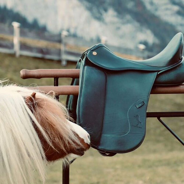 saddle-morgenroth-premium-3