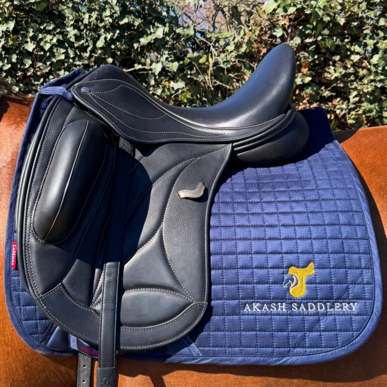 Frank Baines zadel op een dressuurpaard bij een pasconsult van Akash Saddlery