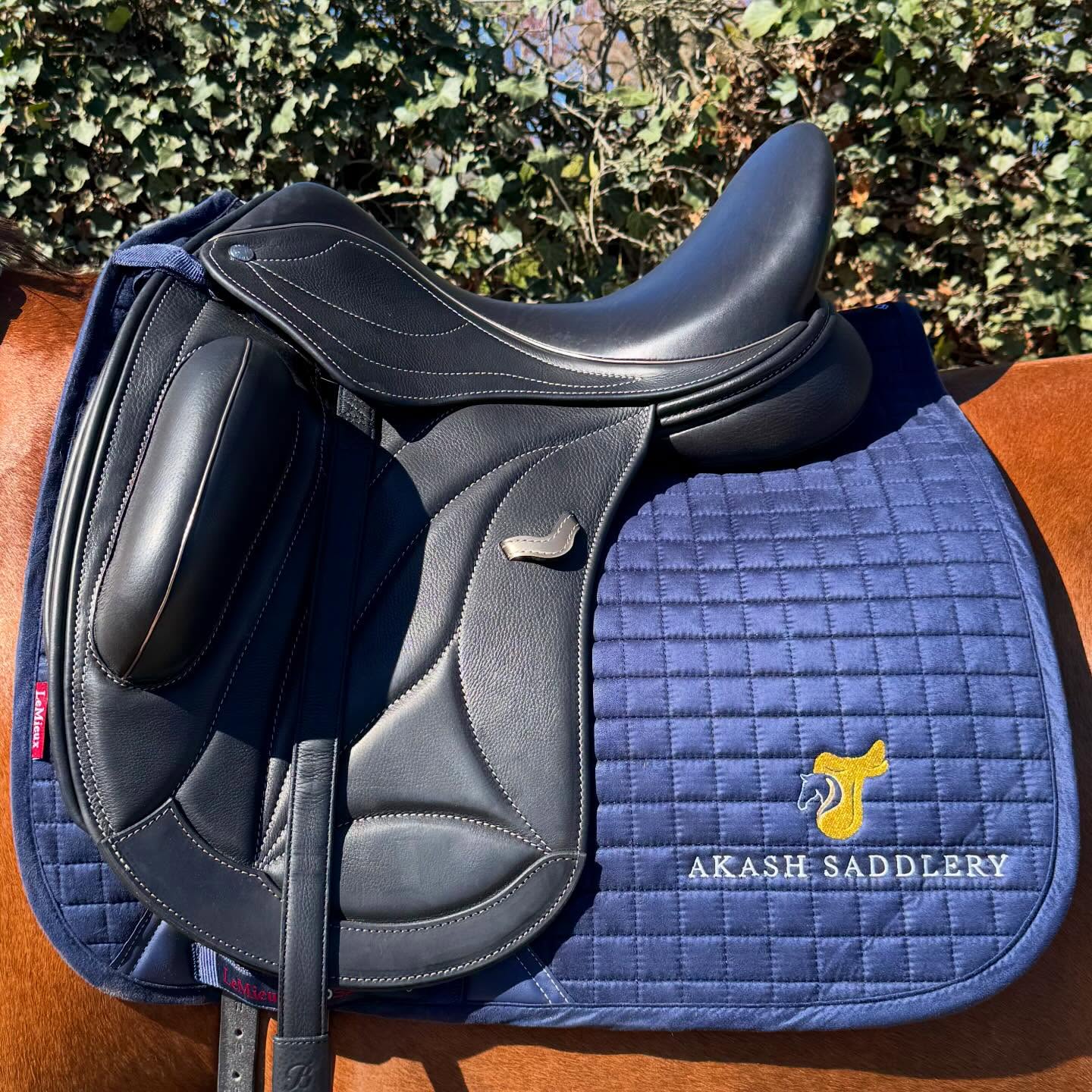 Frank Baines zadel op een dressuurpaard bij een pasconsult van Akash Saddlery