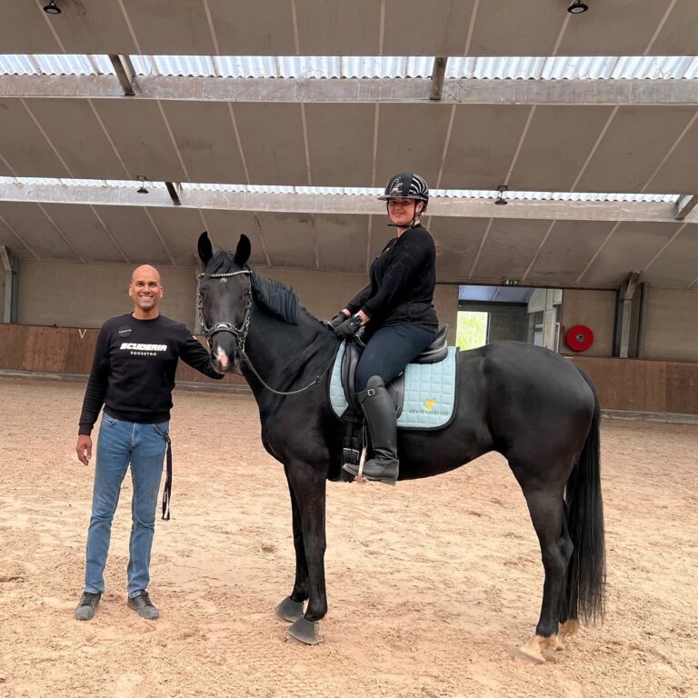 Amerigo Classic Dressage zadel op een dressuurpaard bij Akash Saddlery